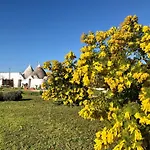 度假居 Trullo Trilli Puglia *
