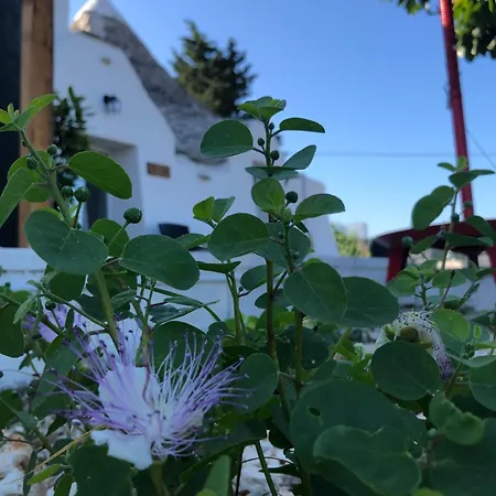 Trullo Trilli Puglia Martina Franca