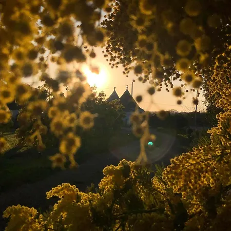 Trullo Trilli Puglia