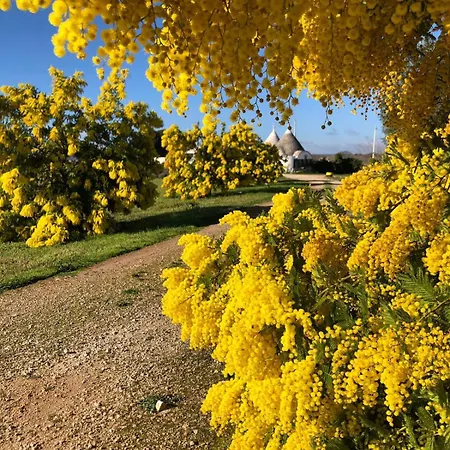 Nyaraló Trullo Trilli Puglia