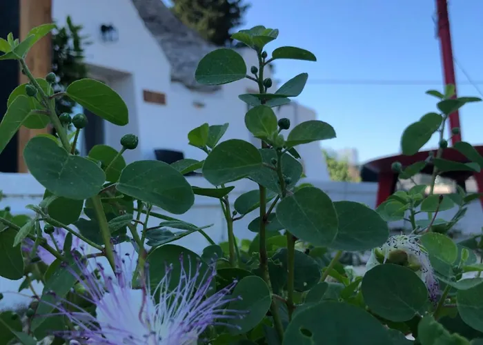 Trullo Trilli Puglia Мартина-Франка