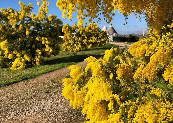 Дом отдыха Trullo Trilli Puglia